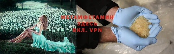прущие грибы Баксан