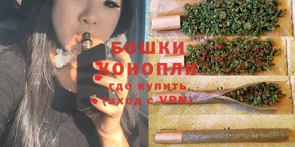 прущие грибы Баксан