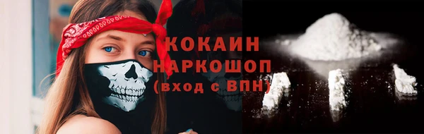 прущие грибы Баксан
