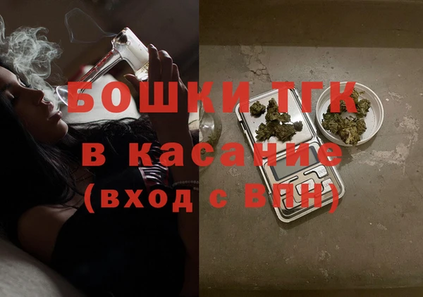 прущие грибы Баксан