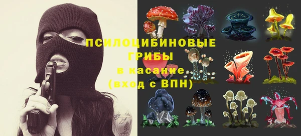 прущие грибы Баксан