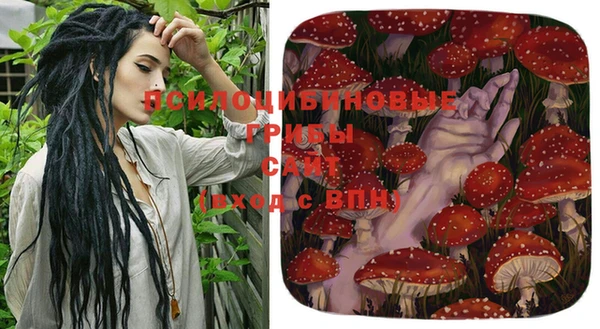 прущие грибы Баксан