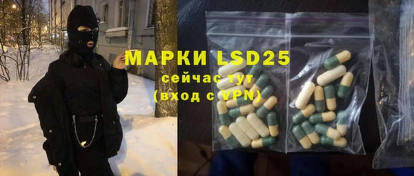 прущие грибы Баксан