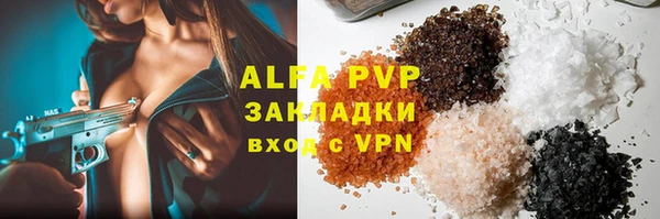 прущие грибы Баксан