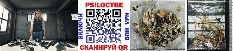 Псилоцибиновые грибы мухоморы  гидра ССЫЛКА  Коммунар 